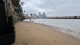 IMG_0690.jpeg