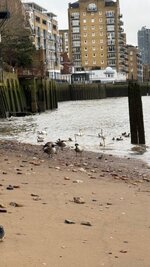 IMG_0691.jpeg