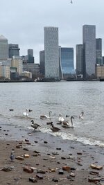 IMG_0695.jpeg