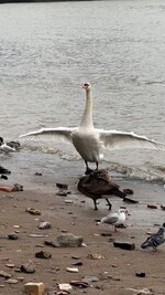IMG_0696.jpeg