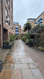 IMG_0700.jpeg