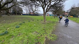 IMG_0708.jpeg
