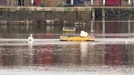 IMG_0718.jpeg