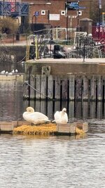 IMG_0729.jpeg
