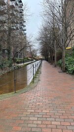 IMG_0737.jpeg