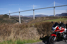 IMG_2642.jpeg