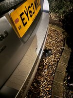 IMG_0920.jpeg