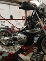 IMG_2916.jpeg