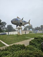 20250225_105244.jpg