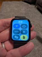 Apple 5.jpg