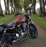 IMG_1167.jpeg