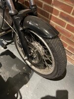 IMG_2620.jpeg