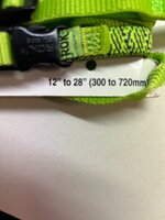 IMG_0481.jpeg