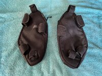 IMG_6336.jpeg