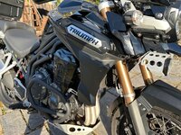 IMG_1198.jpeg