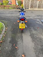 IMG_3538.jpeg