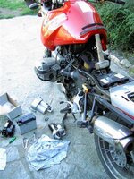 Picture 049 (Small).jpg