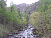 BARM7.JPG