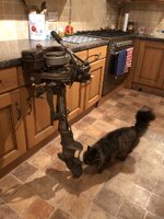 IMG_7805.jpeg