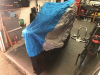 IMG_7094.jpeg