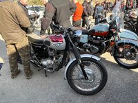 IMG_0903.jpeg