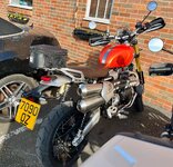 IMG_0966.jpeg