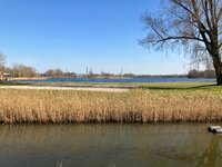 IMG_1280.jpeg
