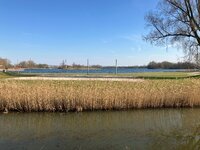 IMG_1282.jpeg