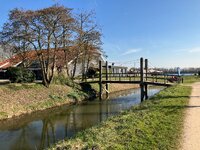 IMG_1285.jpeg