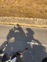 IMG_2768.jpeg IMG_2768.jpeg