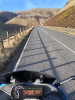 IMG_2782.jpeg IMG_2782.jpeg