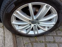 IMG_20250305_151441.jpg