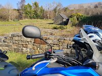 IMG_20250309_134820052.jpg