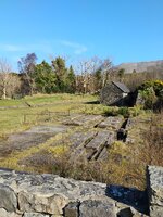 IMG_20250309_134800537.jpg