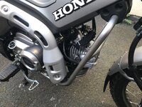IMG_7131.jpeg