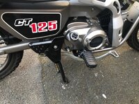 IMG_7132.jpeg