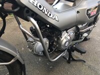 IMG_7134.jpeg