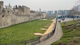 IMG_0950.jpeg