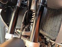 IMG_0421.jpeg