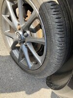 IMG_2877.jpg