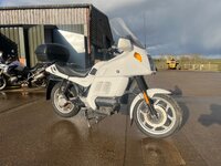 IMG_8203.jpeg