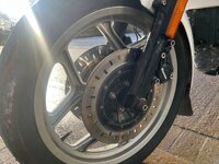 IMG_8204.jpeg