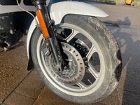 IMG_8202.jpeg