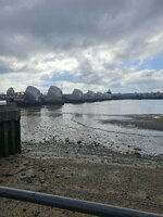 20250314_100759.jpg