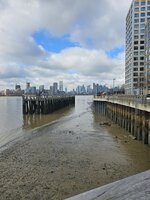 20250314_102739.jpg