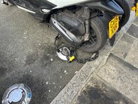 IMG_9101.jpeg