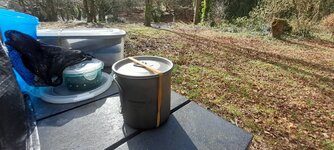 20250314_123138.jpg