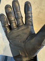 IMG_5312.jpeg