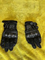 IMG_7525.jpeg