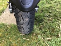 IMG_0895.jpeg